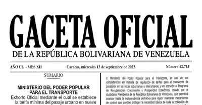 Gaceta Oficial N°42.713